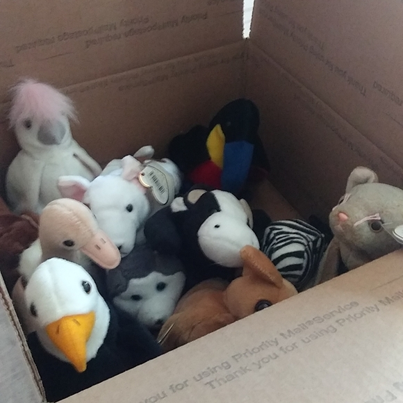 Ty 5 lb. Box of Original Vintage Beanie BABIES; 1996-2001;Personal Collection - Picture 2 of 3